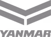 11.png